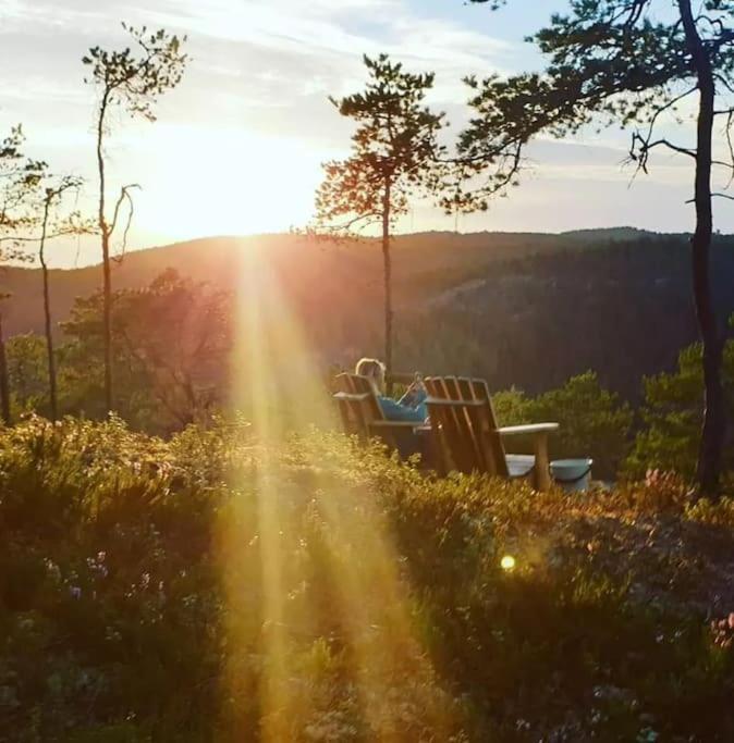 Hotel Treetop Ekne - Hytte I Skogen Med Hengebru Levanger Exterior foto