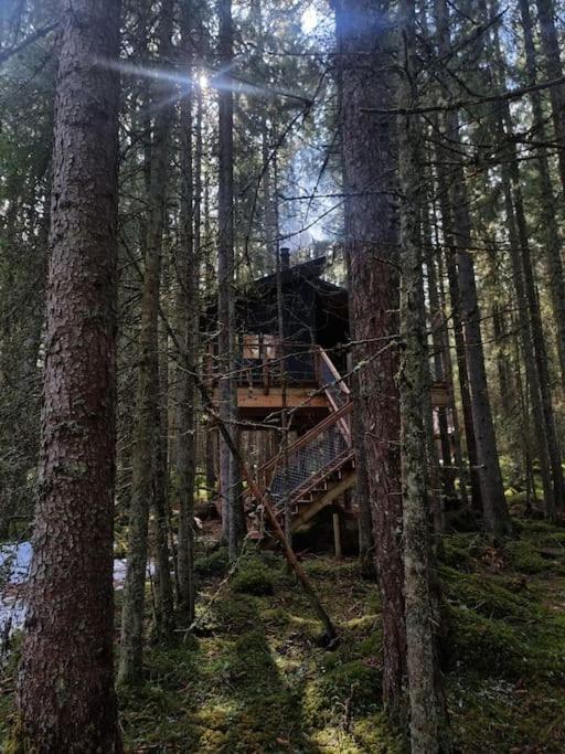 Hotel Treetop Ekne - Hytte I Skogen Med Hengebru Levanger Exterior foto